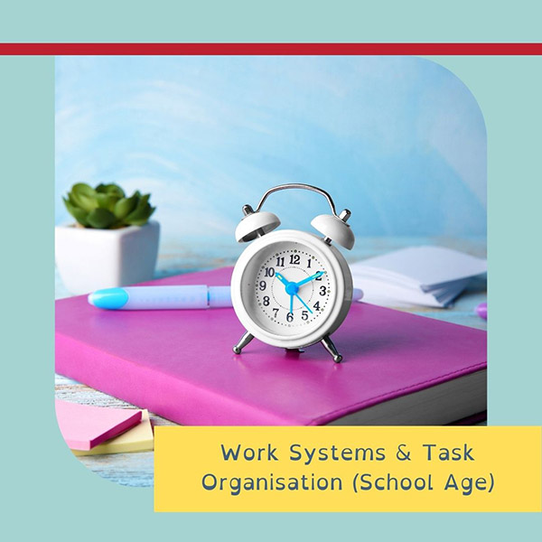Work Systems & Task Organisation (School Age)