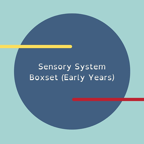 sensory system boxset (early years