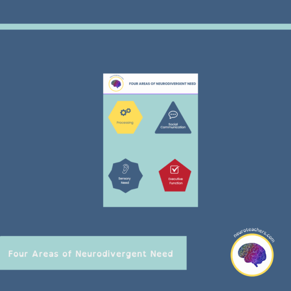 Four Areas of Neurodivergent Needs Poster
